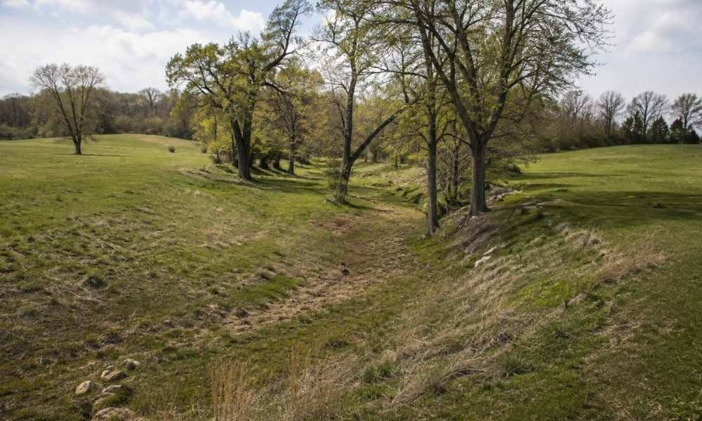 Dry former creek bed winding through a rural property in Bowling Green, Kentucky, showing the landscape of an old watercourse boundary