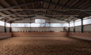 Construction staking equine training facility - ALTA SURVEY Kentucky Indoor equestrian arena with a sand riding surface and covered structure for construction staking work