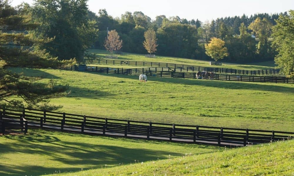 Horse farm paddocks and fenced pasture landscape reflecting property survey planning