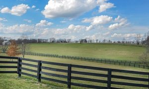 Kentucky farmland with rolling terrain considered during a topographic survey for rickhouse site planning